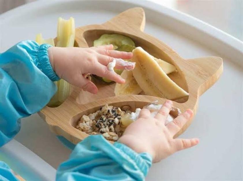 روش BLW چیست؟ راهنمای تغذیه نوزاد به روش Baby-Led Weaning